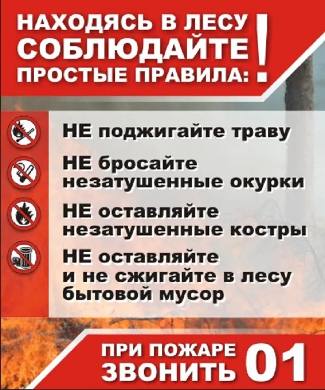 Пожарная безопасность в лесу.